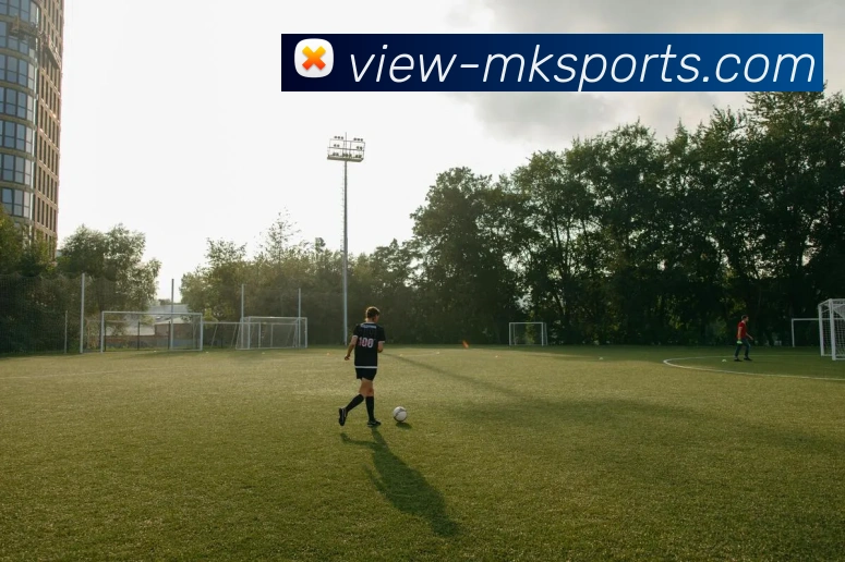 App Interface Preview